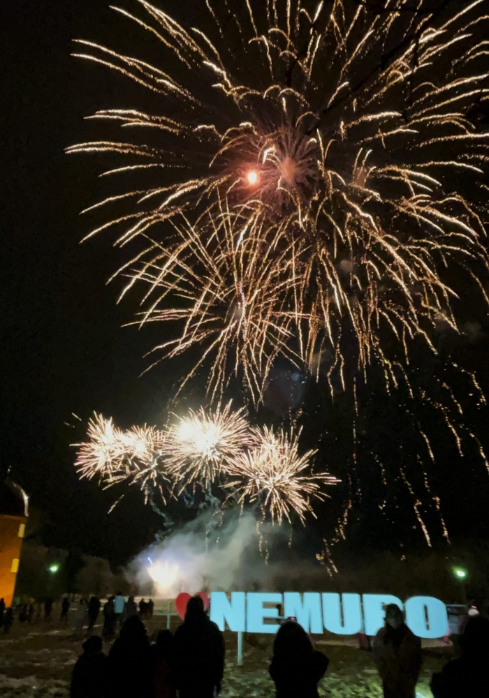 明治公園で行われたイベント「花火DE冬物語」の様子