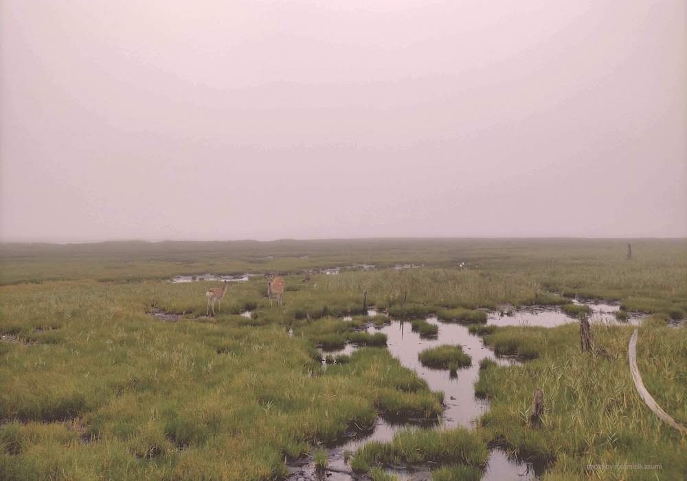 幻想的な雰囲気もある根室の自然風景