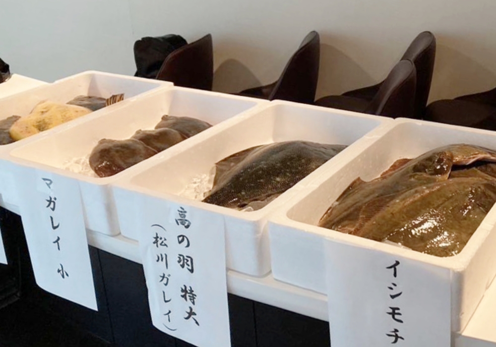 カレイ