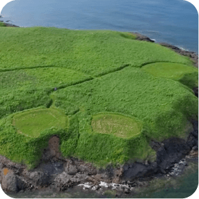 ノツカマフ1・2号チャシ跡